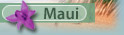 Maui Rentals